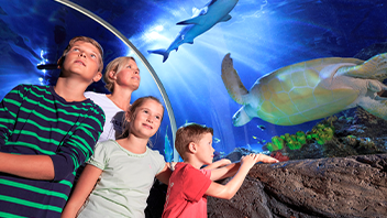 sea life timmendorfer strand