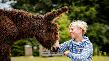 tierpark arche warder